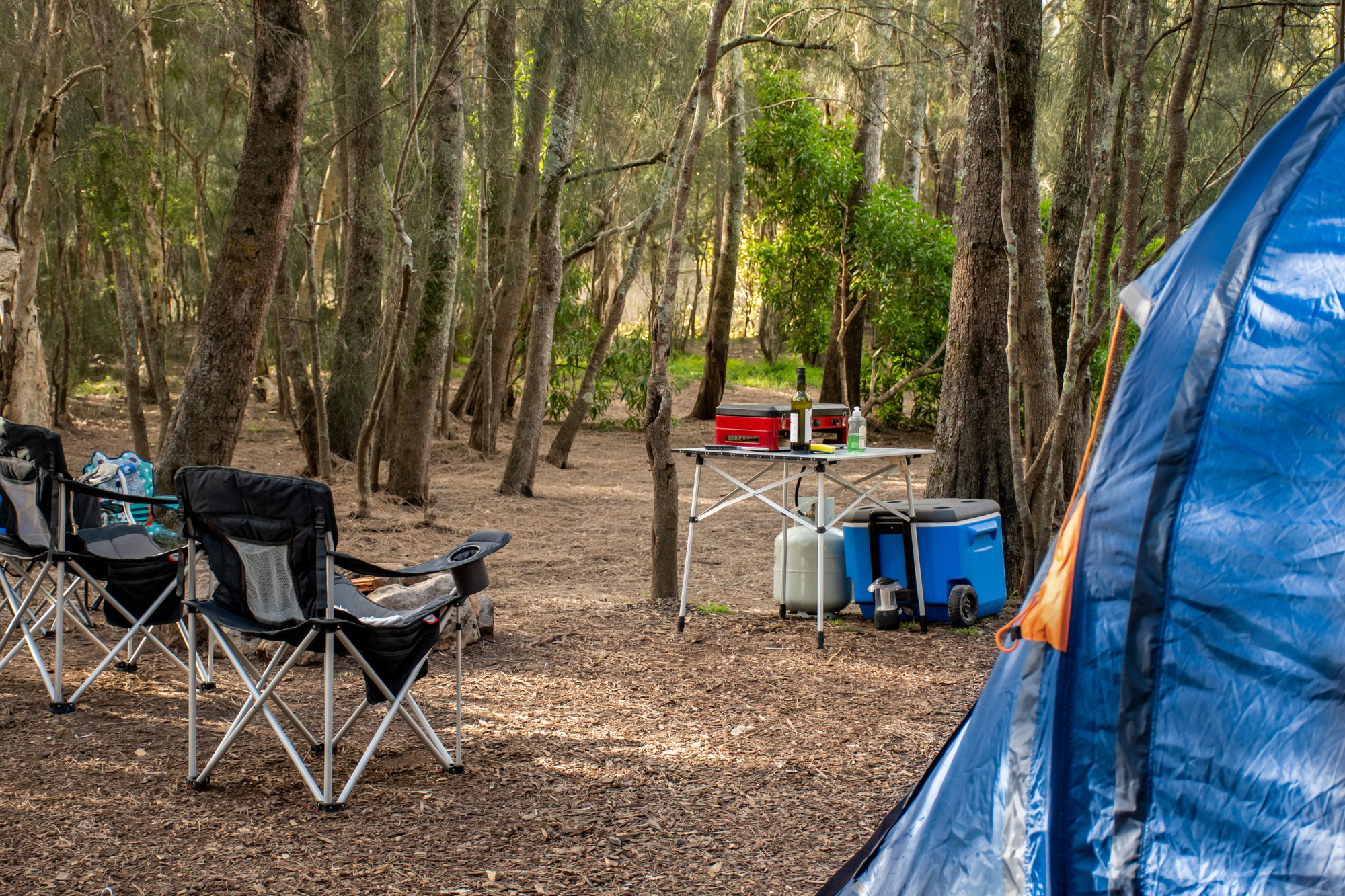 Camping set up in the bush. Travel tourism camping life concept